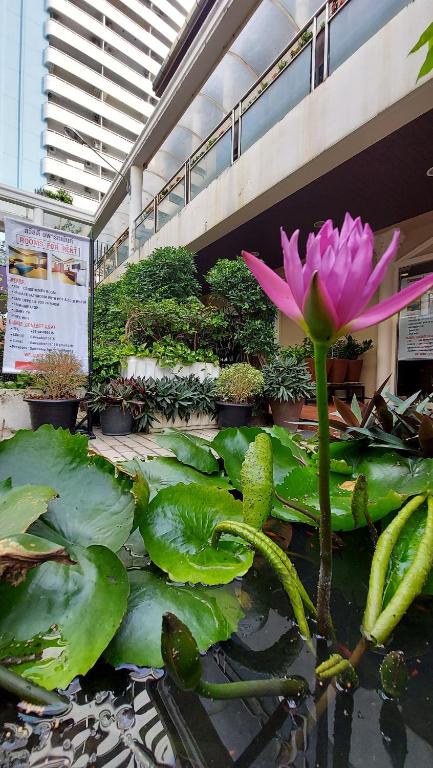 Sawasdee Apartment Patong - 18