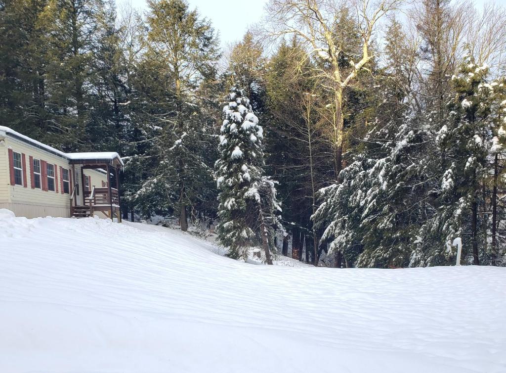 Tranquil renovated house in woods - great for families year around v zimě