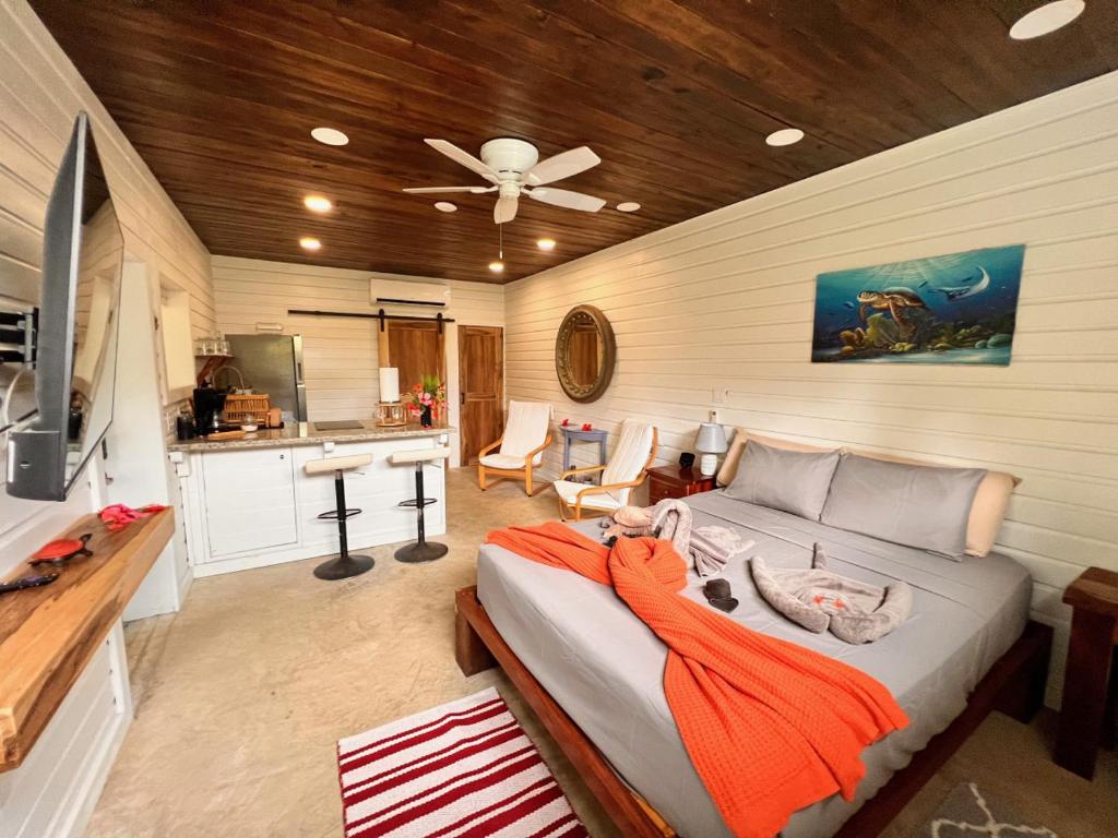 ein Wohnzimmer mit einem Sofa und einer Küche in der Unterkunft La Vida Belize - Studio in Riversdale