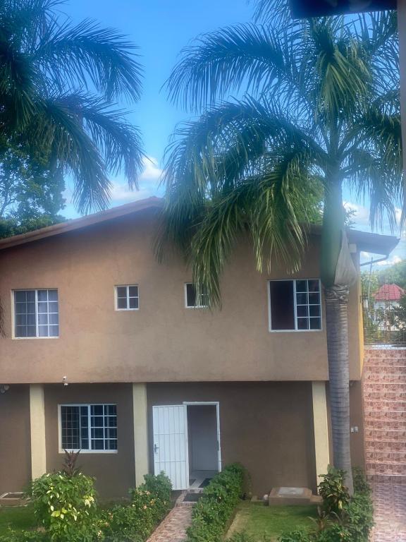 a house with a palm tree in front of it at Montego Bay, Ironshore Luxury Studio in Montego Bay