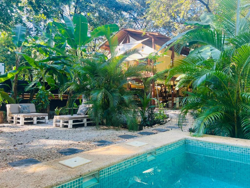 una piscina frente a una casa con palmeras en Calipso Ocean Lodge, en Playa Avellana