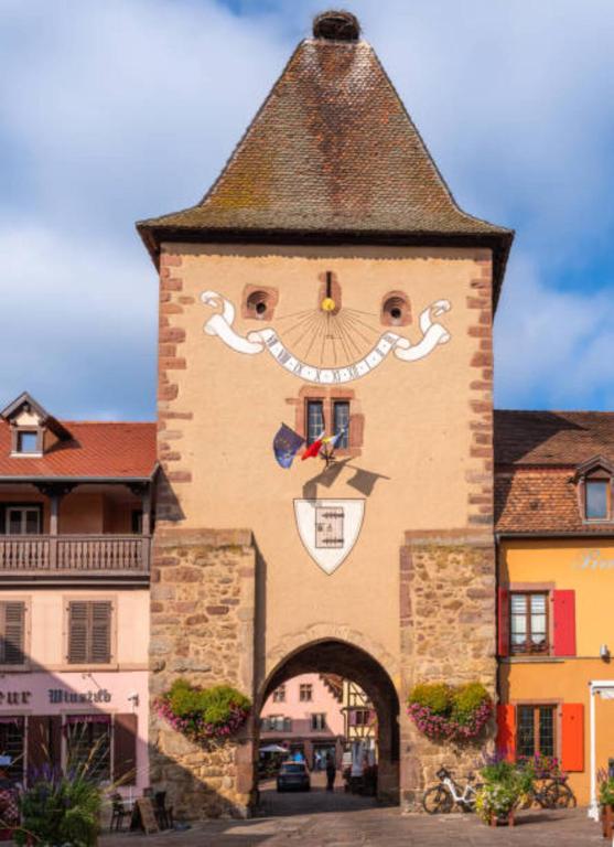 Les Appartements Manala - Turckheim – photo 55