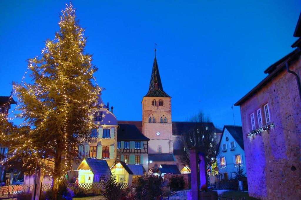 Les Appartements Manala - Turckheim – photo 54