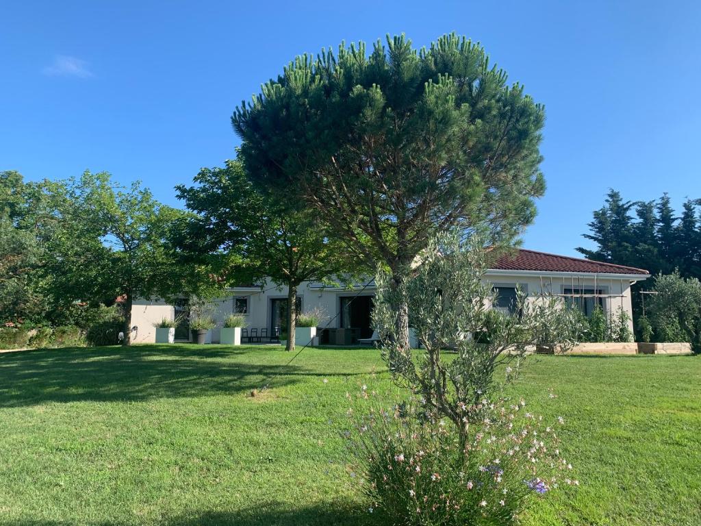 ein Haus mit einem Baum im Hof in der Unterkunft Le Clos du Pontet in Orliénas