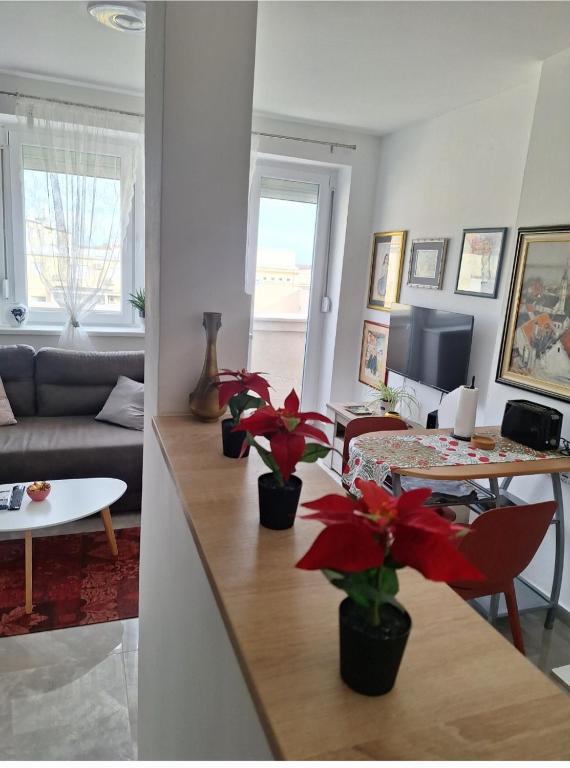 Posezení v ubytování Apartman u Zemunu