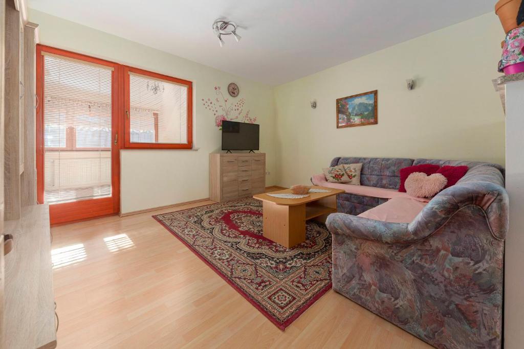 TV a/nebo společenská místnost v ubytování Apartment Pr' Kavač