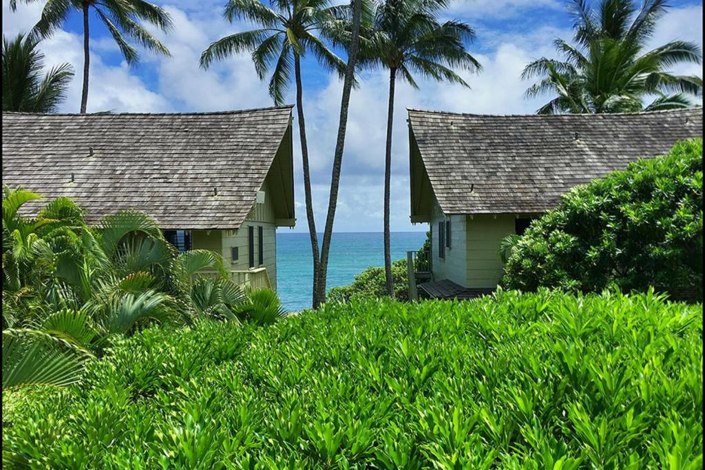 two houses on the beach with palm trees and the ocean at Kapa'a Sands 24 in Kapaa