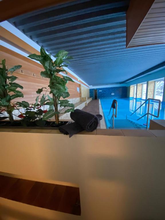 Piscina di Gerlitzen, Kanzelhöhe, Über den Wolken, Haus Enzian o nelle vicinanze