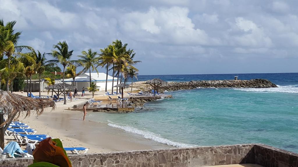 a beach with chairs and palm trees and the ocean at Le Cosy - Studio spacieux, équipé, proche Plage &amp; Piscine, au Manganao in Saint-François