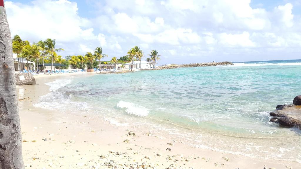 a sandy beach with palm trees and the ocean at Le Cosy - Studio spacieux, équipé, proche Plage &amp; Piscine, au Manganao in Saint-François