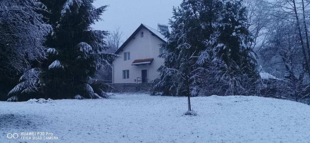 ein weißes Haus mit Bäumen und Schnee auf dem Boden in der Unterkunft Casa Pop in Cîmpulung