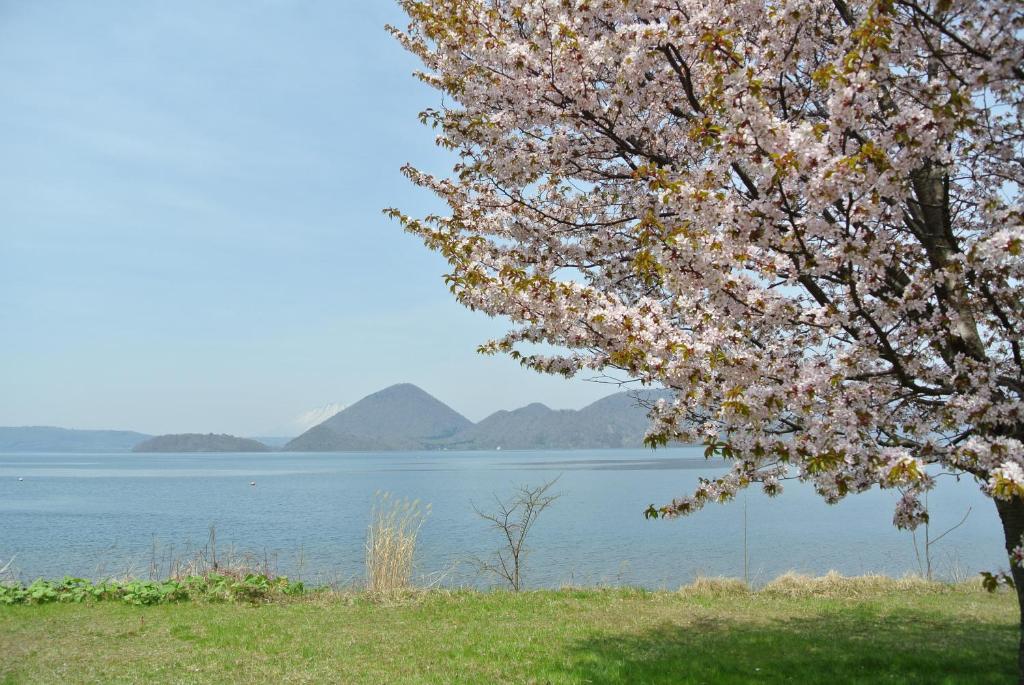 旅館の近くで見られる自然の景観