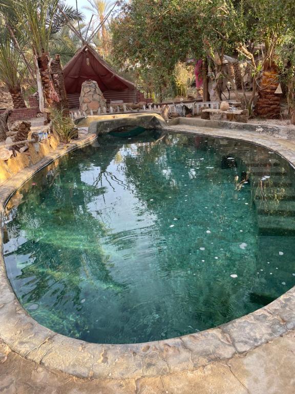 a swimming pool with green water in a backyard at Shamofs Farm in Siwa