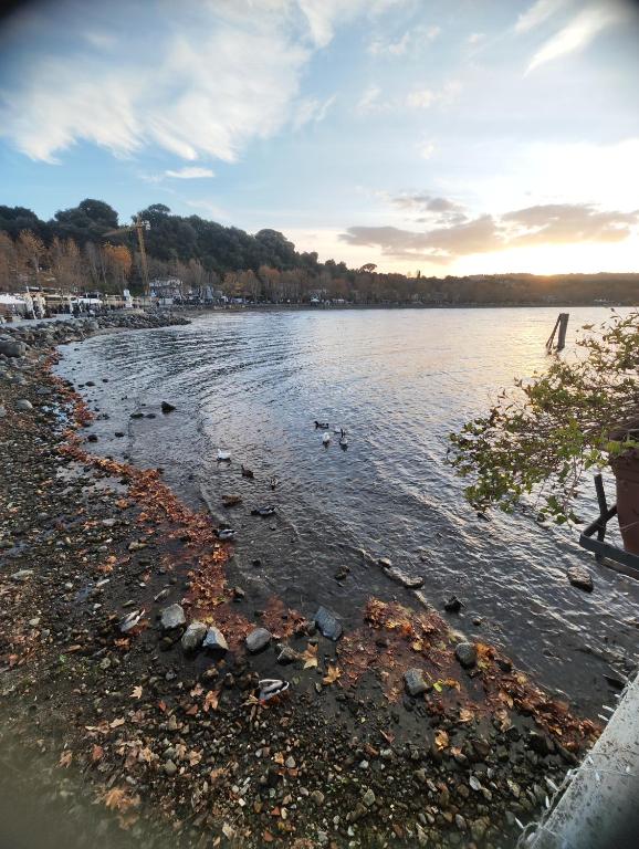 Kép Chalet Romantico Sul Lago szállásáról Anguillara Sabaziában a galériában