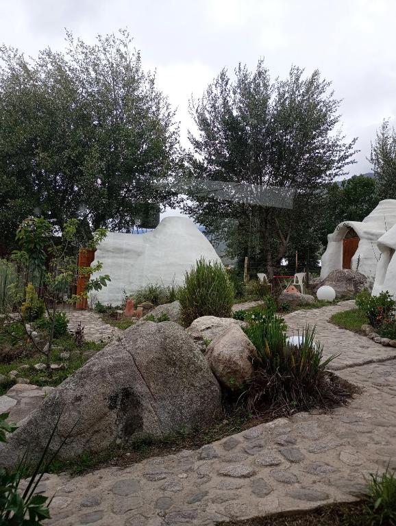 Cocoons hostel
