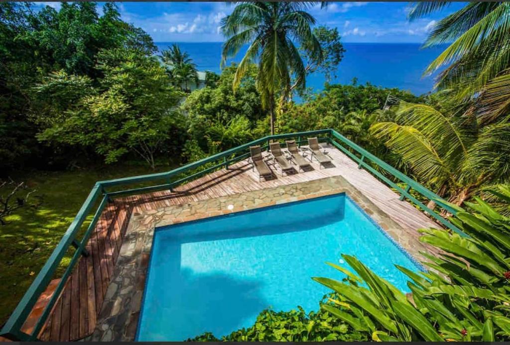 - une piscine avec vue sur l'océan dans l'établissement Amazing mountain top villa, à Marigot