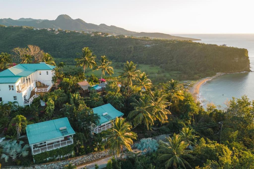 einen Luftblick auf ein Resort mit Palmen und dem Meer in der Unterkunft Modern 1 bed guesthouse with pool and ocean view in Marigot