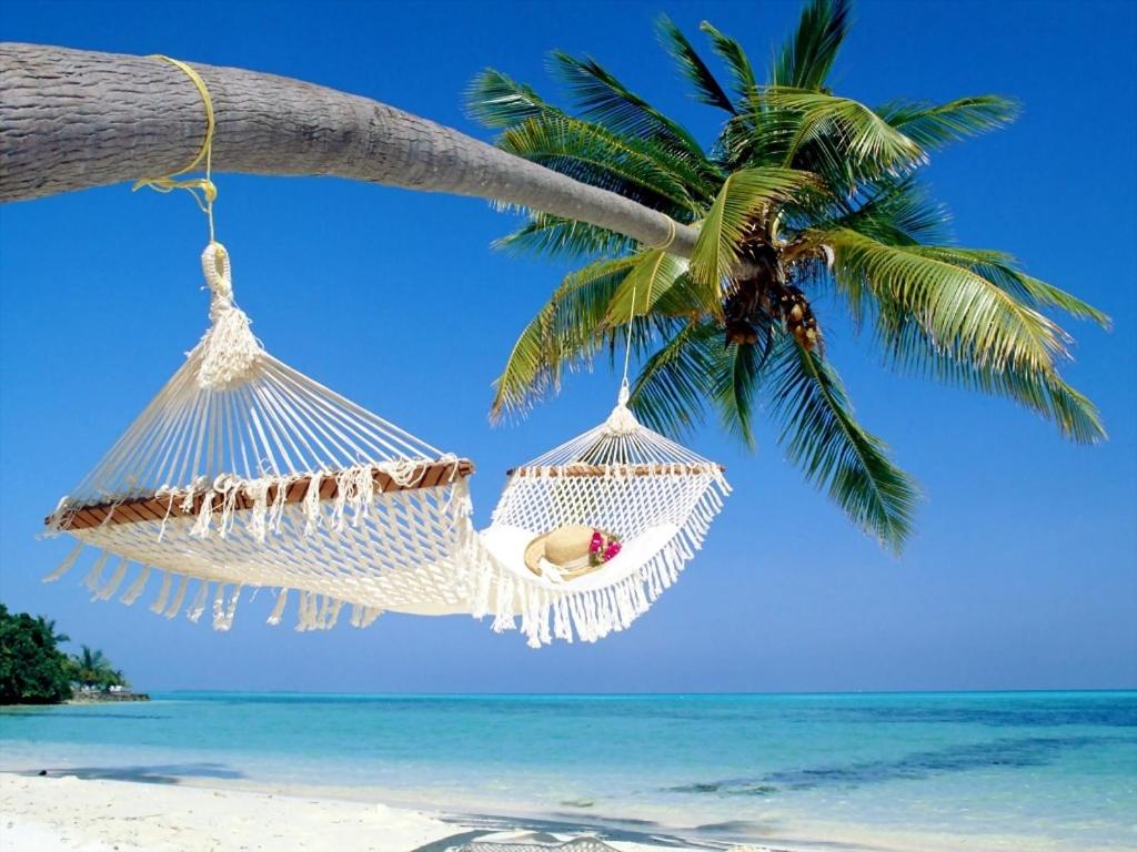 a woman in a hammock hanging from a palm tree on a beach at Affordable Two Bedroom Tropical Condo - Private Beach, Pools, Hot Tub in St Petersburg