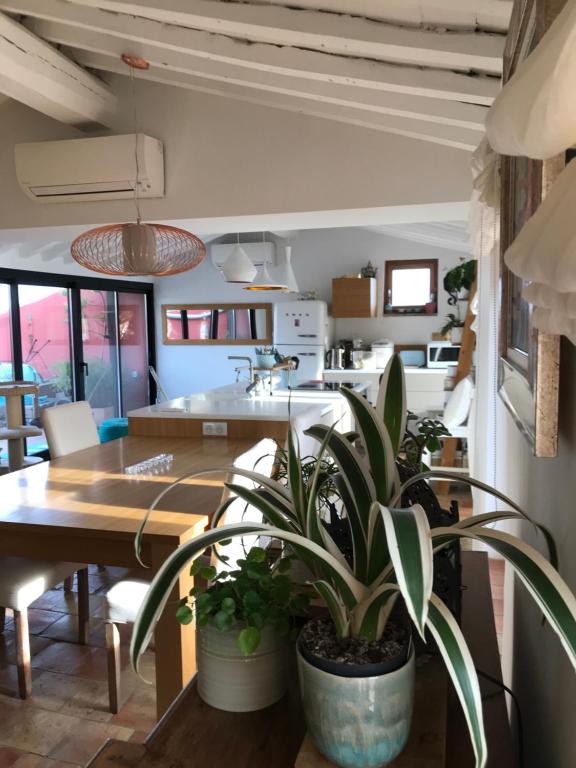 a kitchen and dining room with a table and potted plants at Bed & Breakfast Les Hauts de Cagnes vue mer et montagne in Cagnes-sur-Mer