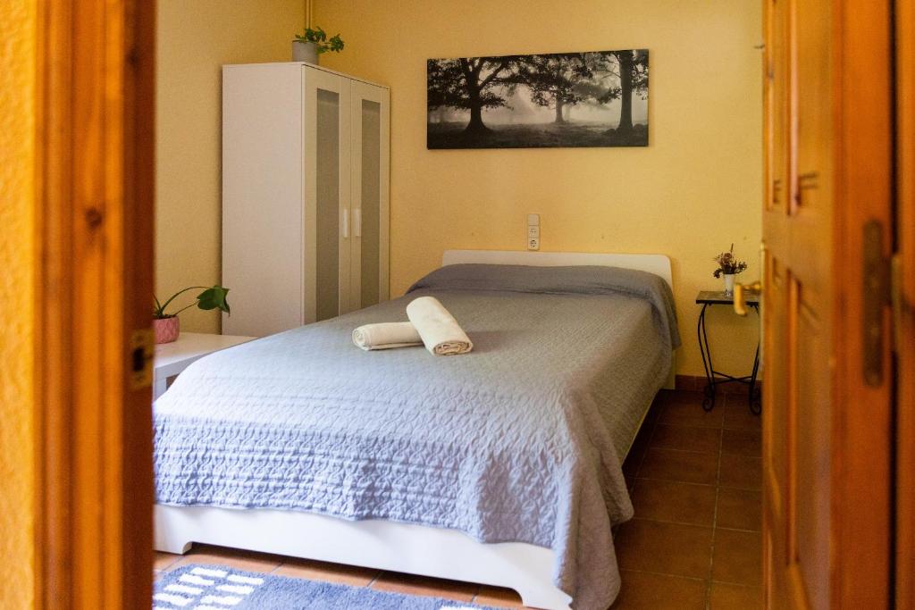 Postel nebo postele na pokoji v ubytování Casa Can Rufo de Rupit