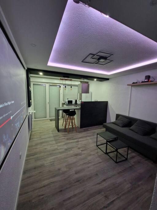 TV a/nebo společenská místnost v ubytování Logement Atypique & Parking GRATUIT