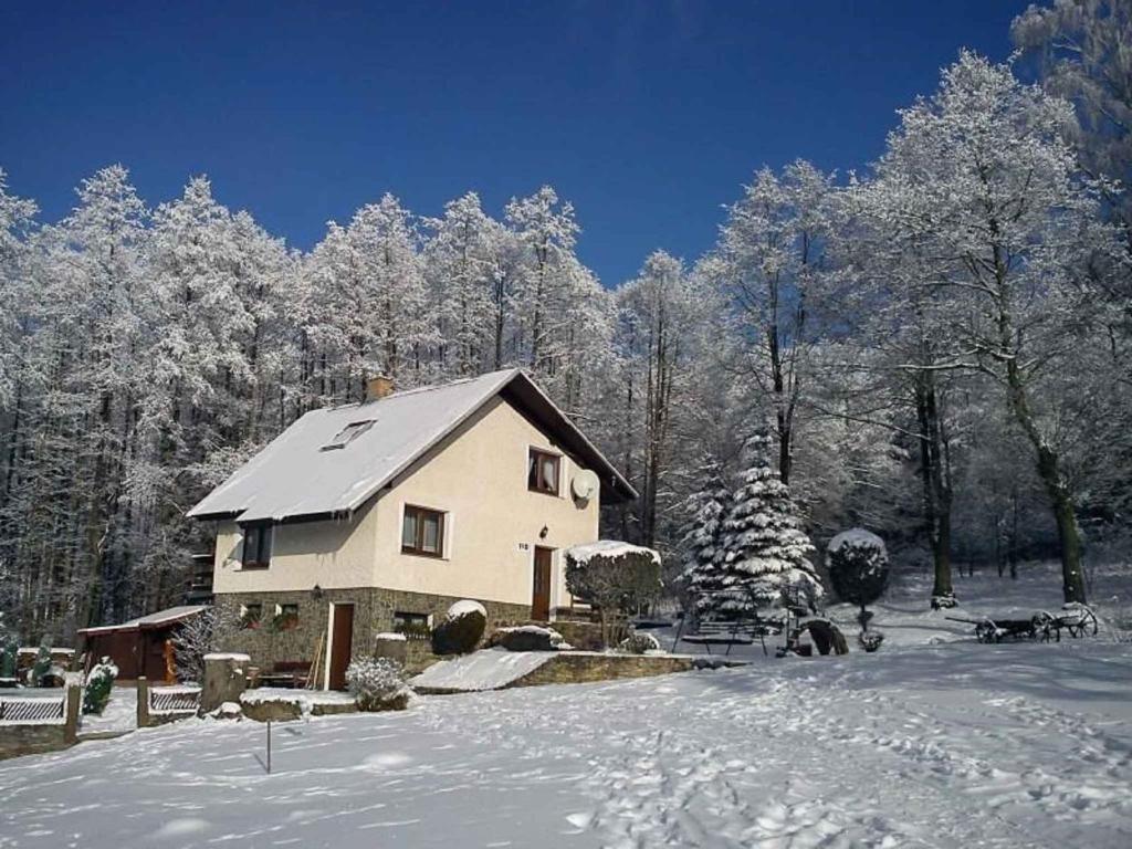 ein schneebedecktes Haus mit Bäumen im Hintergrund in der Unterkunft Holiday home in Marianska/Erzgebirge 1664 in Mariánská