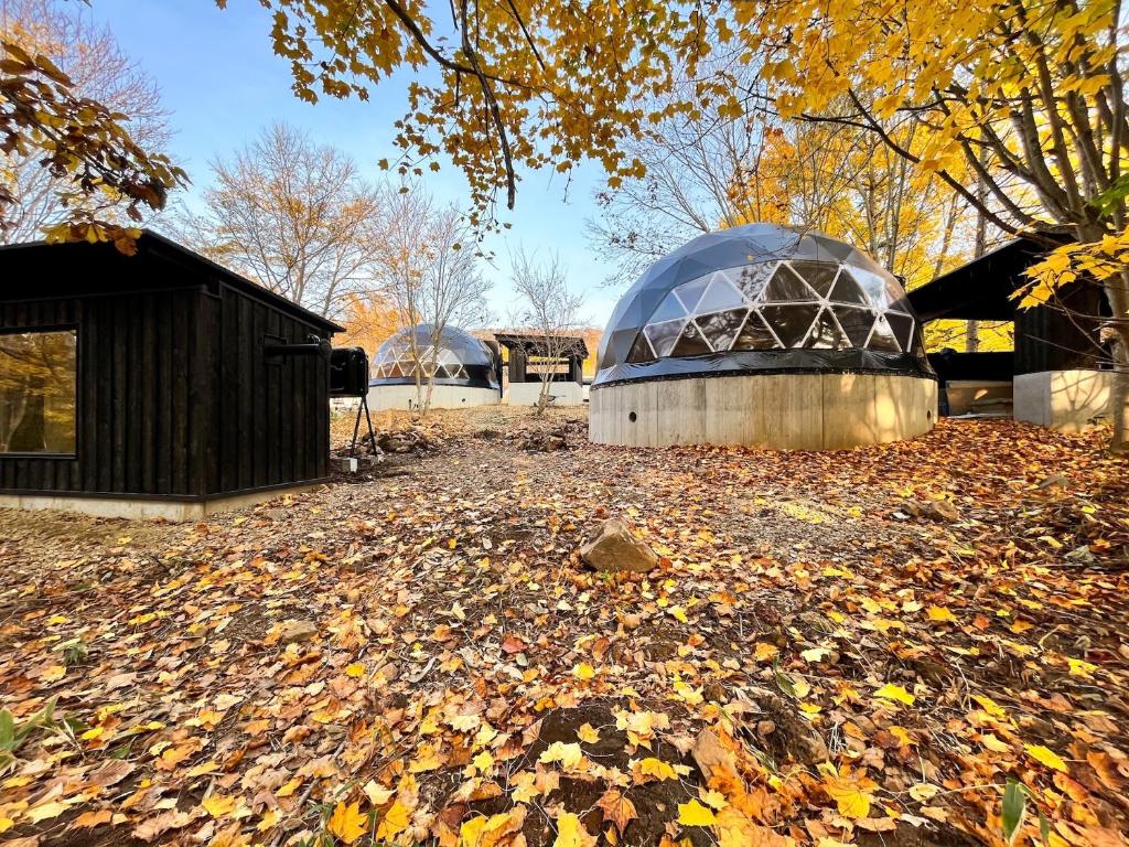 un observatoire en dôme avec des feuilles au sol dans l'établissement villa福座, à Furusan