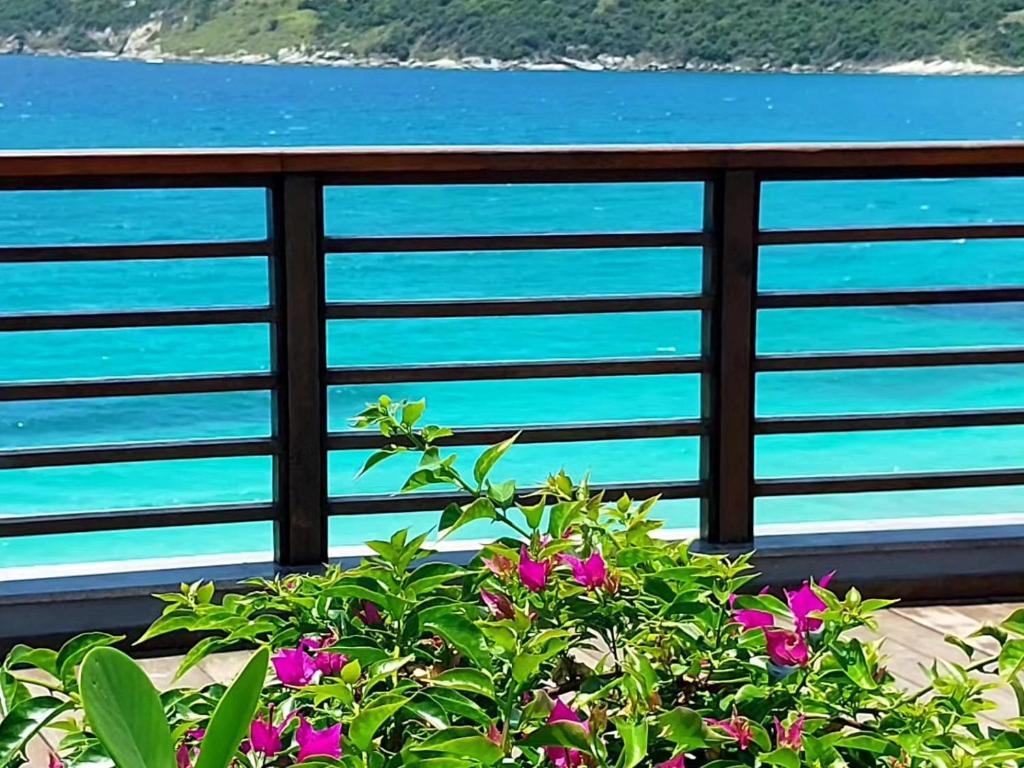 un balcone con fiori viola e vista sull'oceano. di Pousada Arraial do Cabo - Praia dos Anjos ad Arraial do Cabo