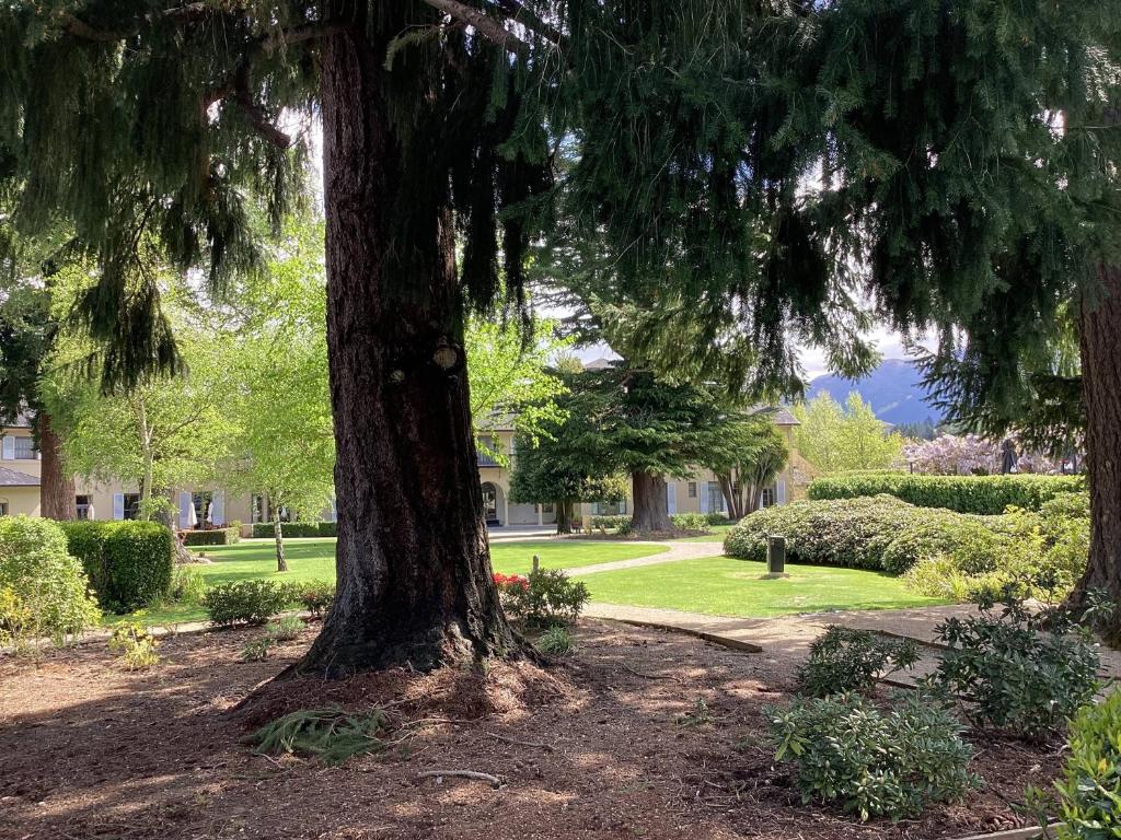 Hanmer Garden Suites - Resim 28