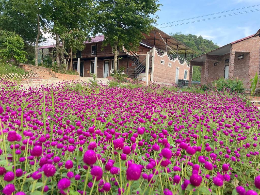 Riverside Homestay - 17