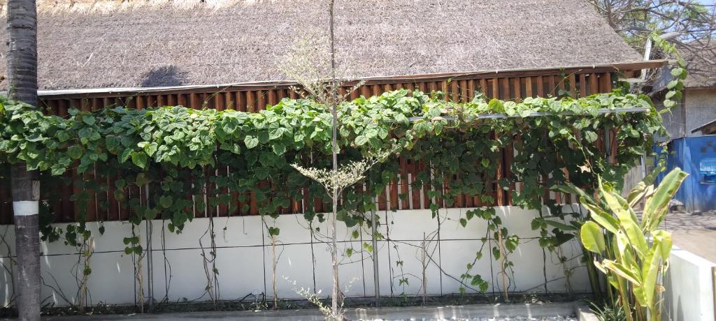 Zahrada ubytování Roots Hotel Trawangan