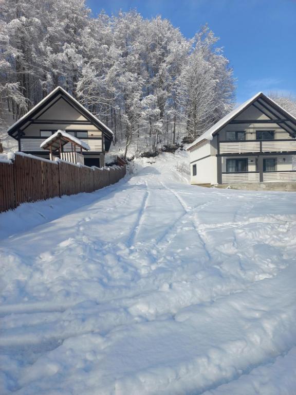 Cottage v Gorakh v zimě