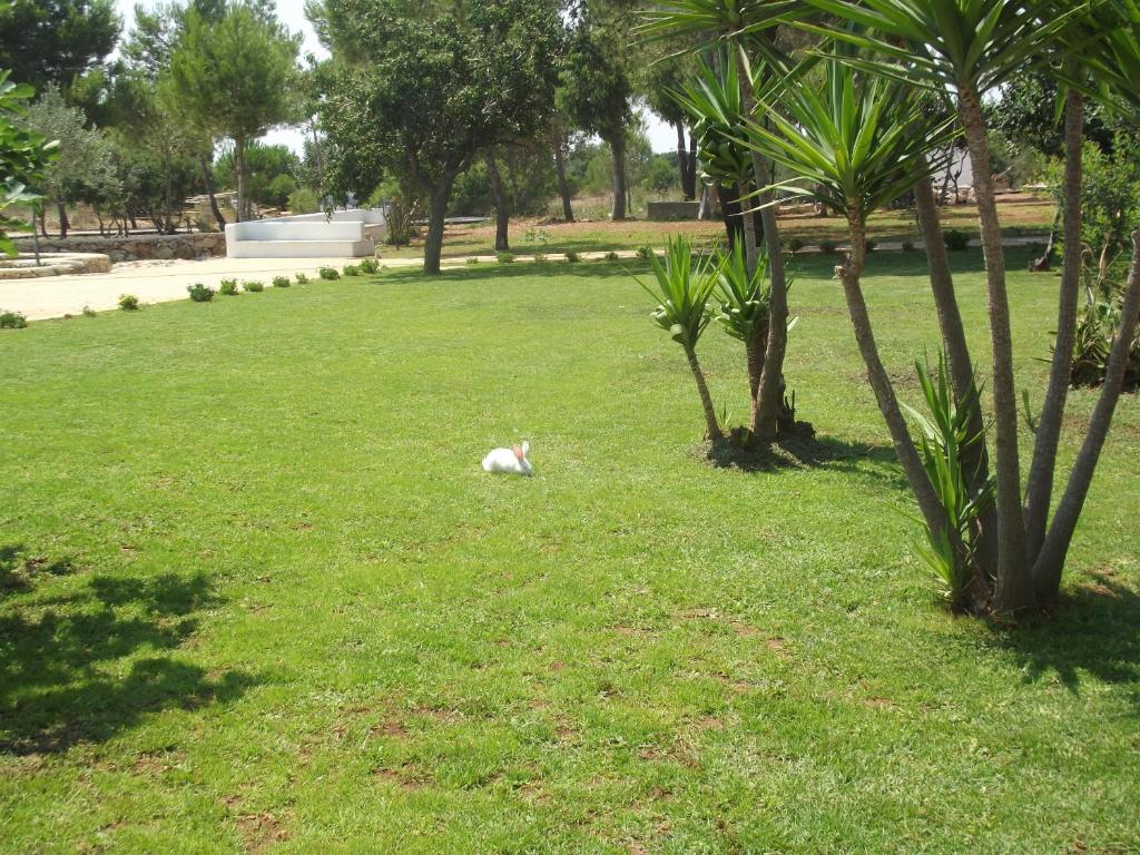 Zahrada ubytování Agriturismo Zio Zac