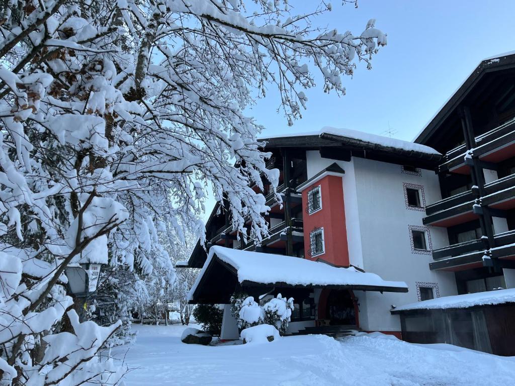 a building covered in snow next to a tree at B&B in Seefeld in Seefeld in Tirol