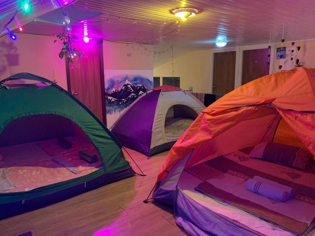 2 tentes dans une pièce avec des lumières violettes dans l'établissement Tents In Georgia, à Tbilissi