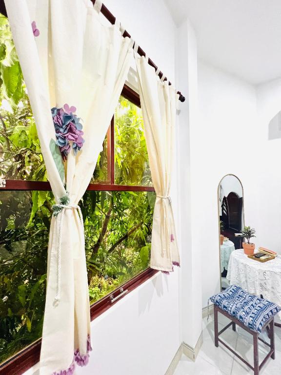 Vườn quanh AN Homestay Phan Thiết