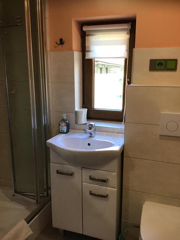 a bathroom with a sink and a shower at Noclegi u Ewy in Duszniki Zdrój