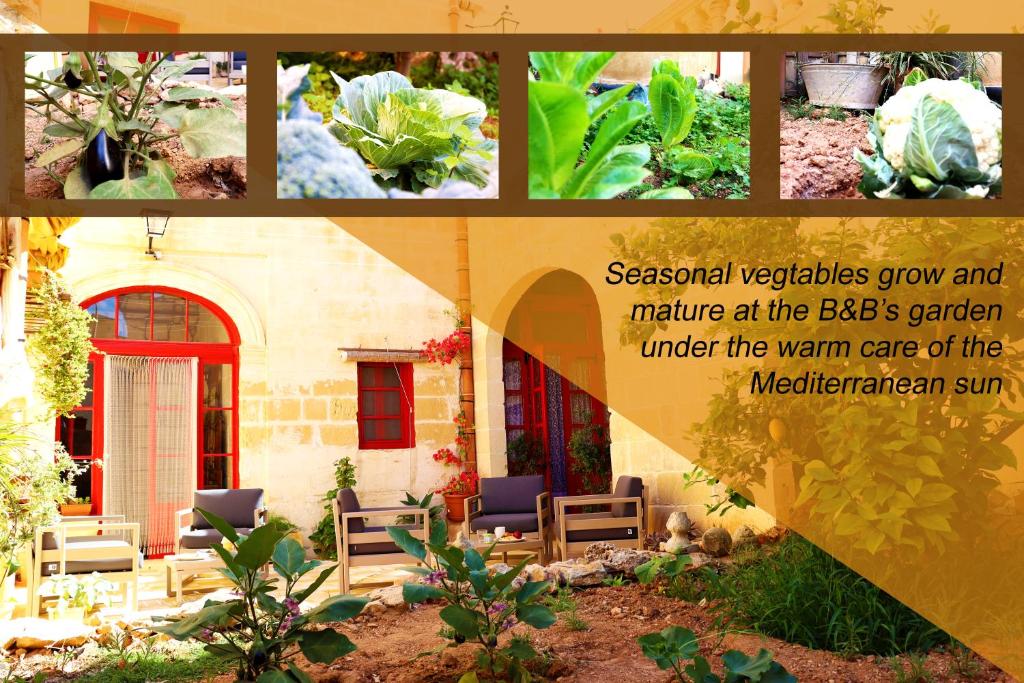 un collage de photos d'une maison avec un jardin dans l'établissement Il-Bàrraġ Farmhouse B&B - Gozo Traditional Hospitality, à In-Nadur