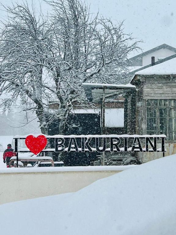Hotel King David Bakuriani durante l'inverno