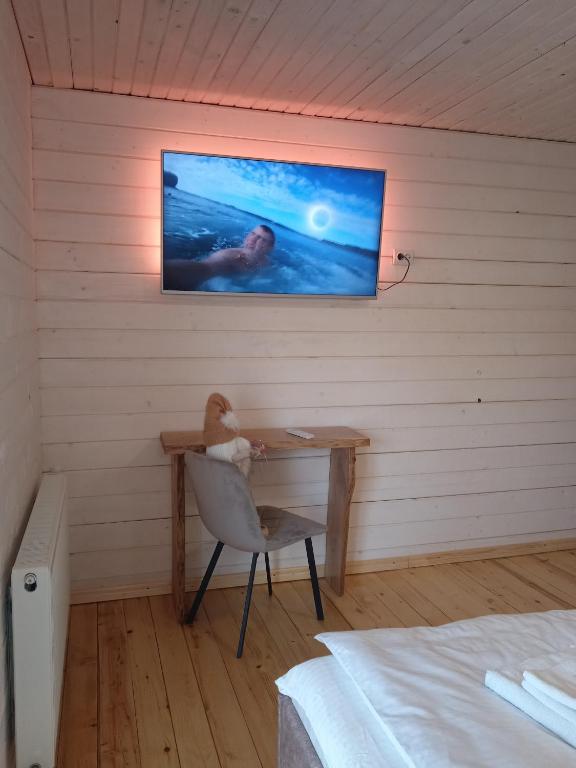 TV a/nebo společenská místnost v ubytování Chalet Ivanna
