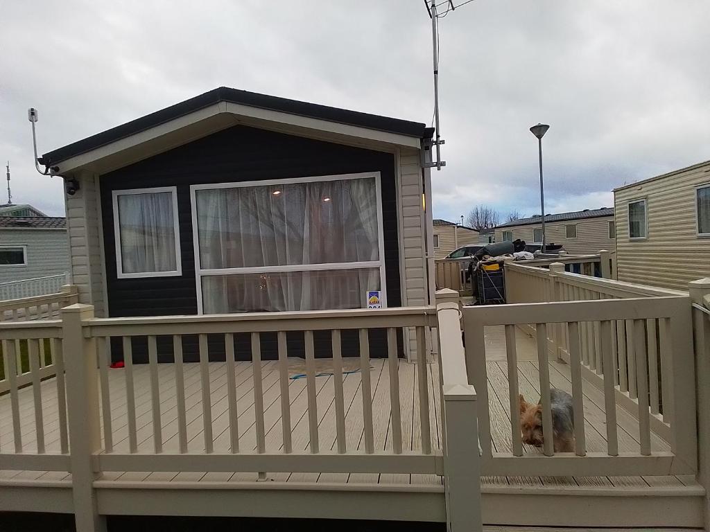 un perro sentado en un porche con una casa en 8 Birth Mobile Luxury home C016 8SG St Osyth near Clacton on Sea, en Clacton-on-Sea