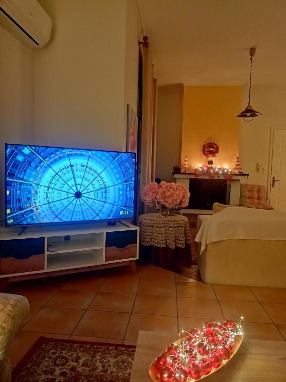 TV a/nebo společenská místnost v ubytování Zara's Home Meteora-The House Of The Rising Sun!