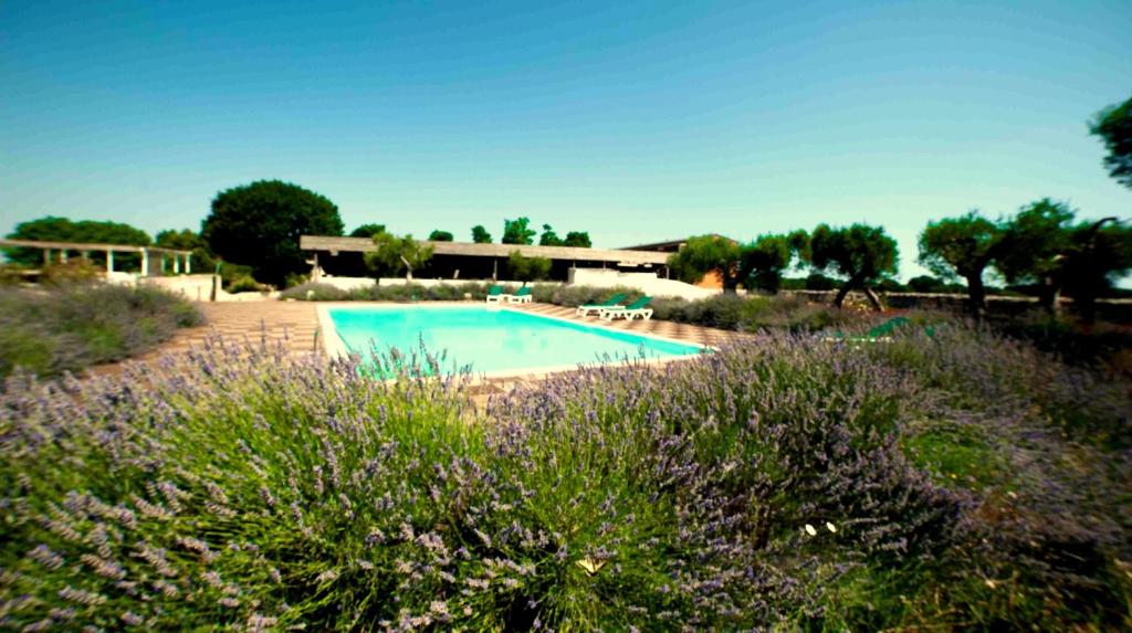 a swimming pool in a field with purple flowers at Apulia Victor Country Hotel in Alberobello