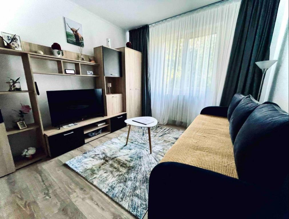 un soggiorno con divano e TV a schermo piatto di 3S Residence a Vaslui