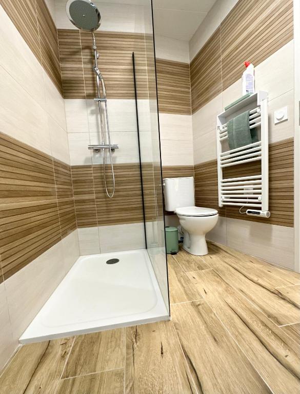 a bathroom with a shower and a toilet at Logement Entier au Centre Ville in Évreux