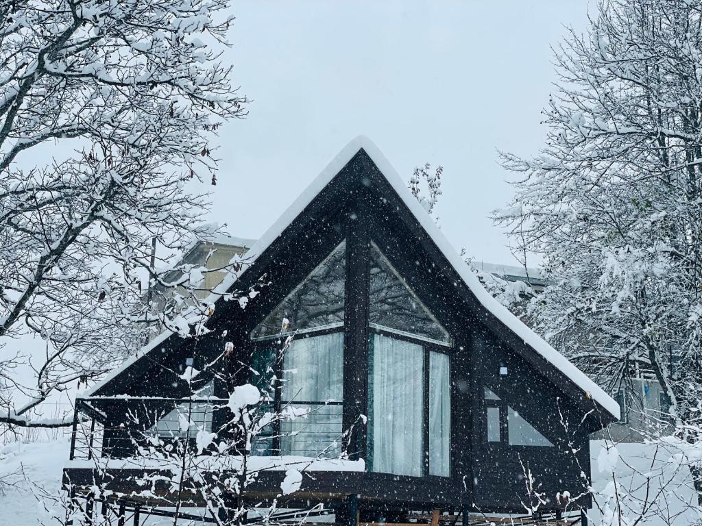 una casa cubierta de nieve con techo en Cottage Am Museum, en Mestia