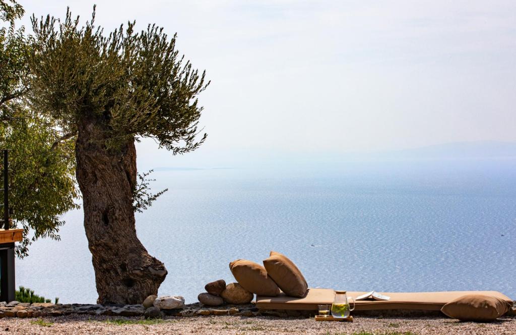 um grupo de almofadas e uma árvore junto à água em Momos Otel em Ayvacık