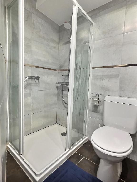 a bathroom with a toilet and a glass shower at &#39;&#39;Les Platanes&#39;&#39;de Miss.K Conciergerie in Gorrevod