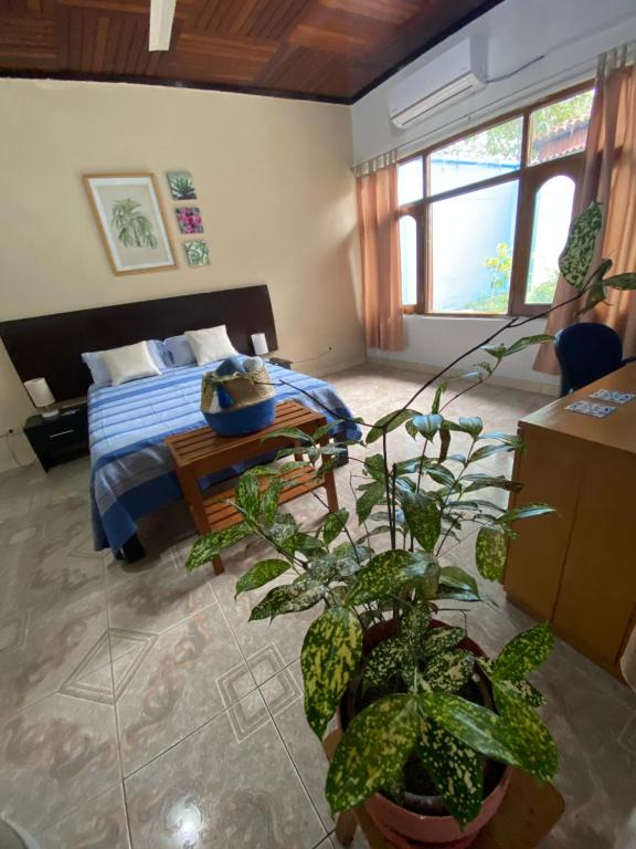 Postel nebo postele na pokoji v ubytování Poseidon Guest House