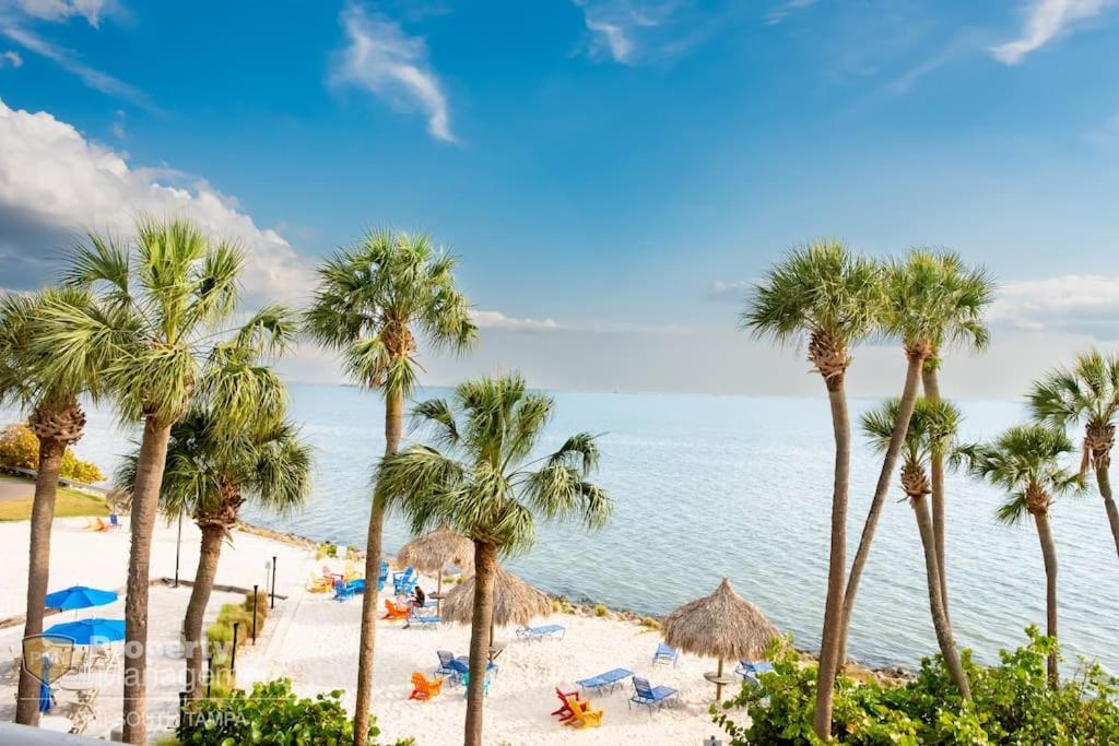 a beach with palm trees and chairs and the ocean at Rays by the Bay in Tampa